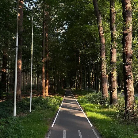 In De Bossen Bij Garderen Camping *